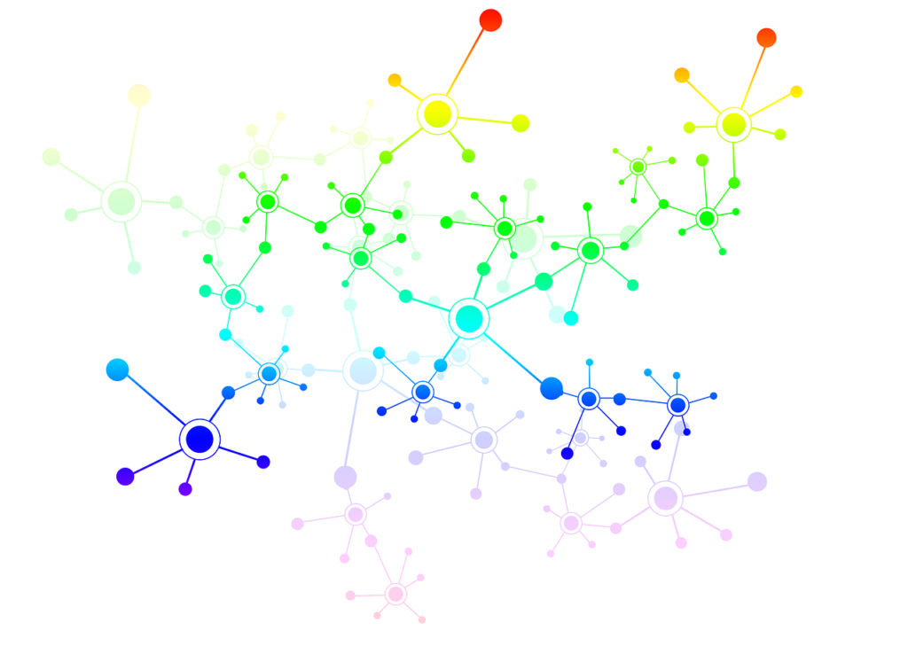 network social