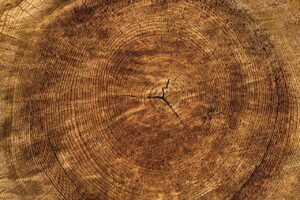 hout