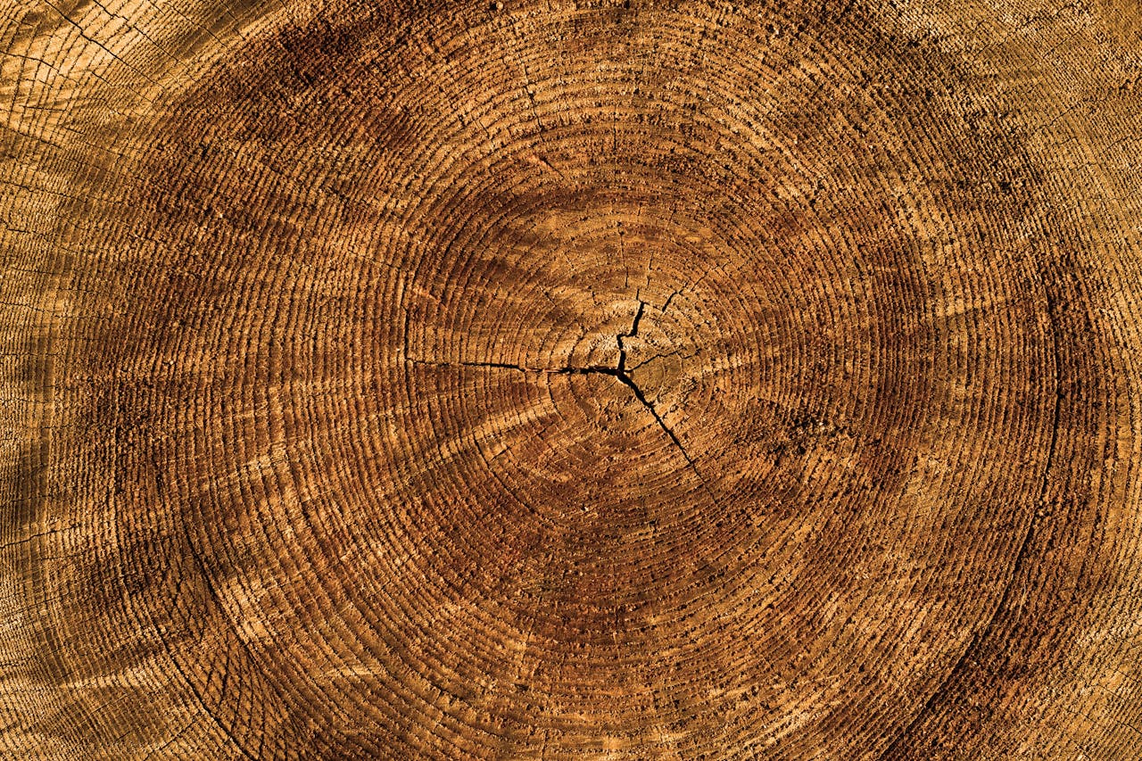 hout